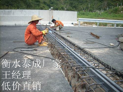 福州伸缩缝价格及报价-衡水泰成工程橡胶-机电商情网产品供应-机电商情网在线产品报价